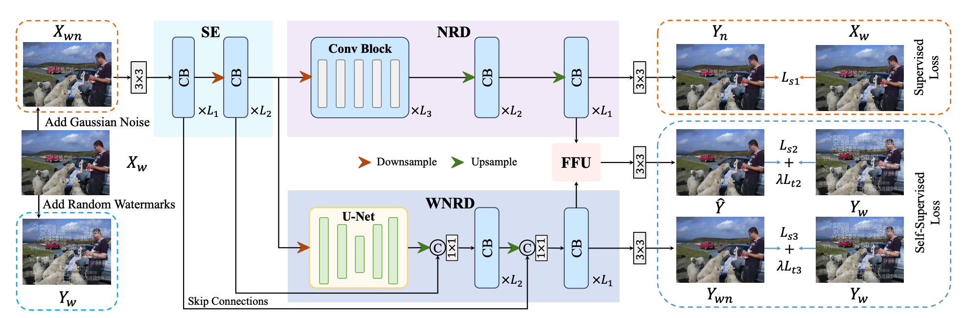 SSH-Net: A Self-Supervised and Hybrid Network for Noisy Image Watermark Removal